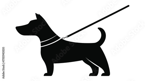 Silhouette of a dog on a leash, representing pet walking, training, or animal control
