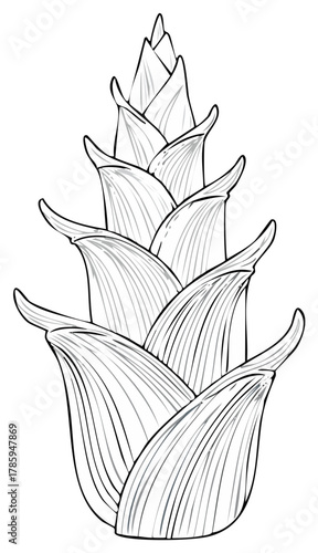 Stylized black and white line art of a conical artichoke bud
