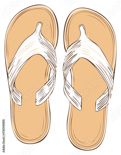 Illustration of two flip flops with brown soles and white straps, summer footwear