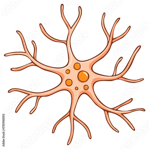 Simplified cartoon illustration of a neuron nerve cell with branching dendrites and nucleus