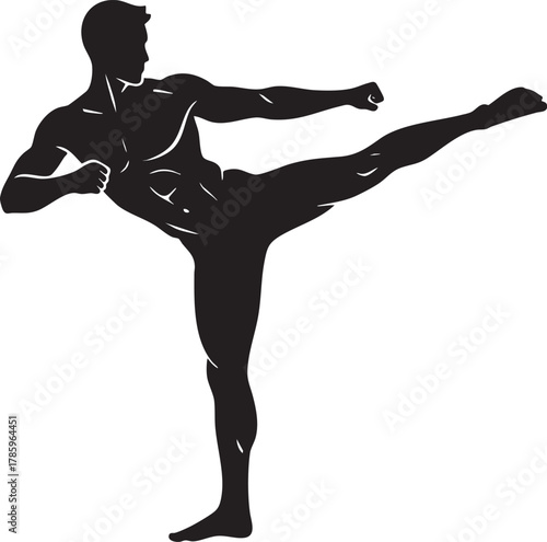 Silhouette of a muscular man performing high kick martial arts pose