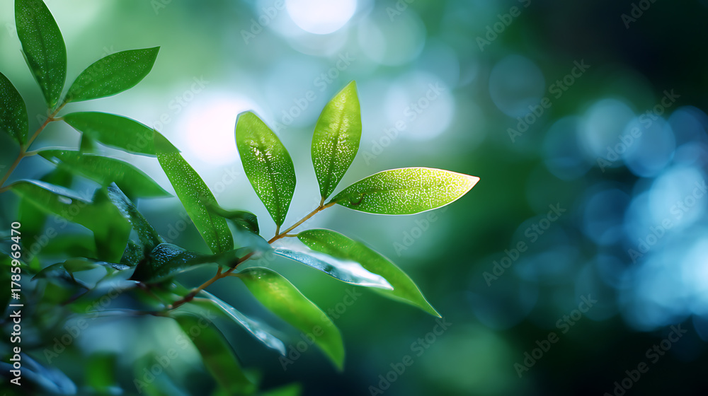 Obraz premium fresh green leaves