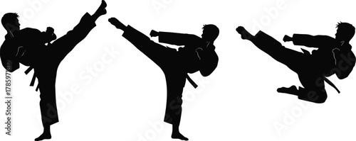 Martial arts silhouette, high kick pose, flying kick action, karate training, taekwondo technique, black figure, combat movement, discipline
