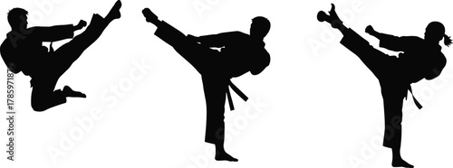 Martial arts silhouette, high kick pose, karate jump, taekwondo technique, combat training, athletic movement, black figure, discipline, action stance