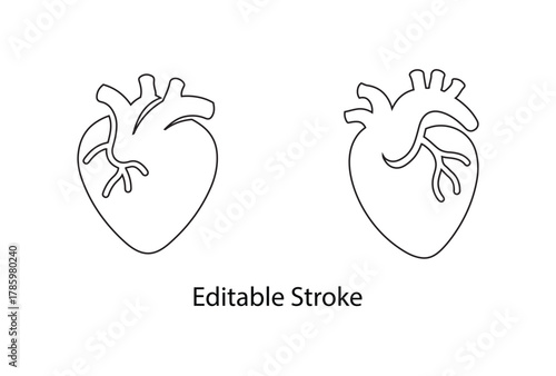 anatomical heart vector editable stroke icon set, human heart logo symbol vector line icon illustration