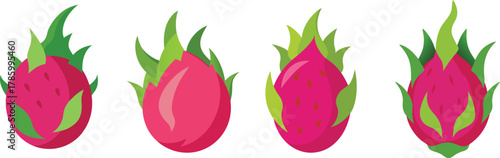 resh dragon fruit vector.