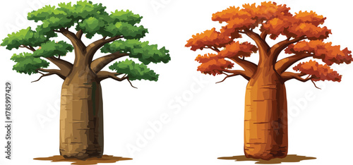 baobab trees illustration, seasonal foliage, green leaves, orange leaves, nature vector, autumn tree, spring tree, wide trunk, cad drawing flat vector illustration
