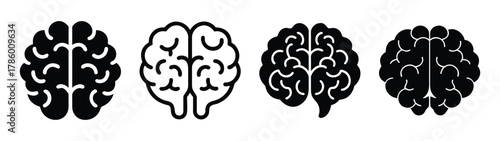 Human brain anatomy illustration showing left and right hemispheres for medical education design