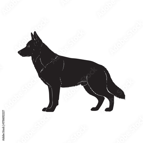Silhouette of a majestic German Shepherd dog standing confidently, side profile.
