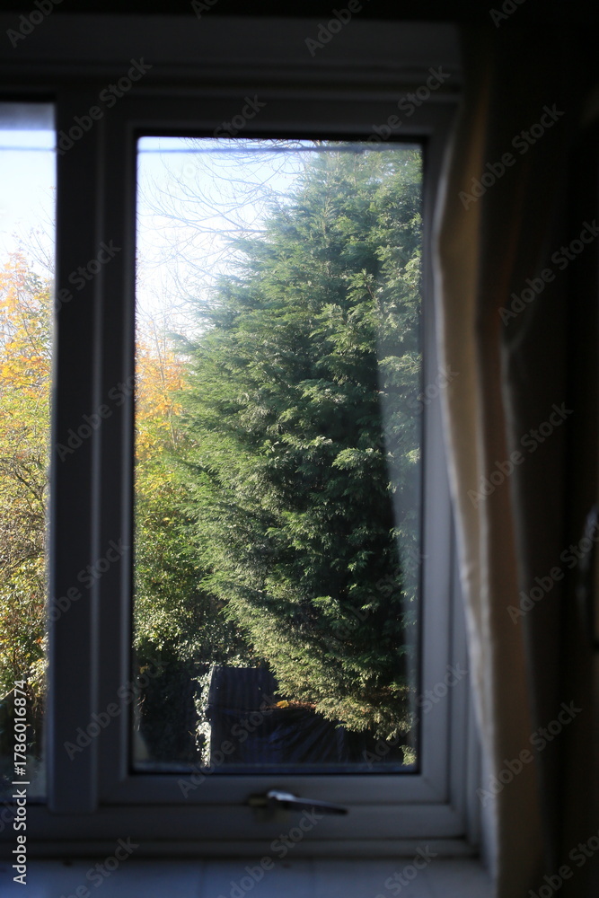 Fototapeta premium A calm window view overlooking a quiet backyard garden with lush trees, captured in soft natural light. Ideal for home lifestyle themes, mindfulness content, remote working visuals, and editorial stor