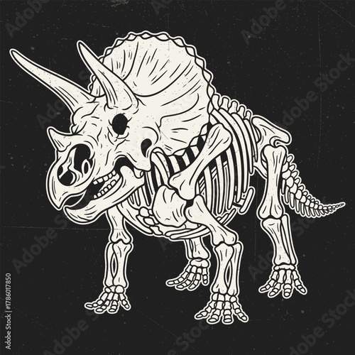 Vintage Style Detailed Triceratops Skeleton Anatomy Paleontology Illustration