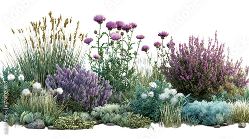 Assorted Purple White and Green Garden Flower Bed on Transparent Background, PNG