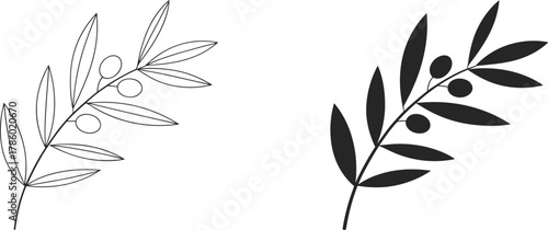 Minimalist black and white botanical illustration showing olive branches, elegant line art and solid silhouette design for decoration and vector art