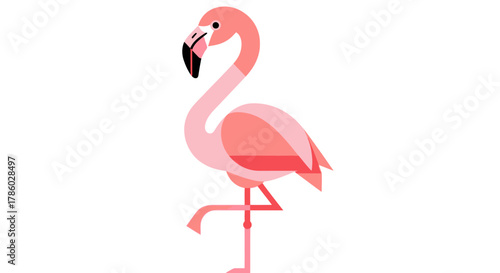 Elegant flamingo stands gracefully on one leg, pink feathers.