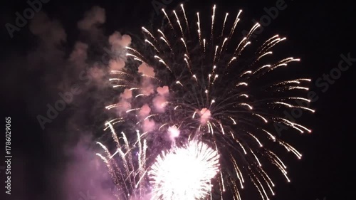 Vibrant Fireworks Display Illuminates Night Sky in Celebration Event