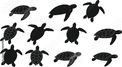 Sea turtle vector illustration, black silhouette and detailed design, marine animal artwork, ocean wildlife graphic, aquatic reptile drawing, coastal nature symbol