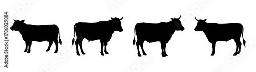 Silhouette of four cows standing in a row vector illustration farm animals livestock cattle design