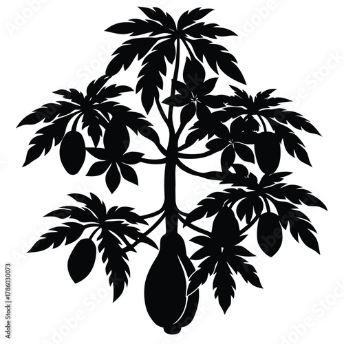 Illustration of a papaya tree with fruits