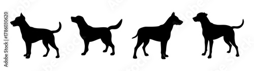 Silhouette of dog breeds great danes standing tall vector illustration dog silhouette art design