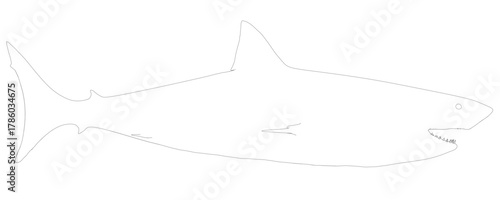 Great white shark contour drawing in black and white, featuring an open mouth and clean lines against a plain white background.