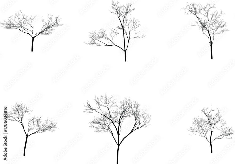 Obraz premium Bare tree silhouettes set on white background
