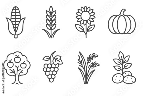 Line Crop Icons. Line style icons of Crops: corn, wheat, sunflower, pumpkin, apple tree, grapevine, rice stalk, potato plant, No