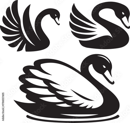 Elegant Swan in Black & White – Minimalist Monochrome Bird Photography