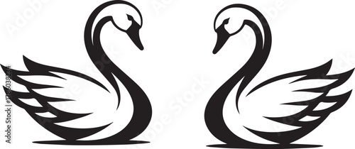 Elegant Swan in Black & White – Minimalist Monochrome Bird Photography