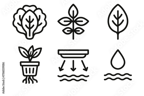 Hydroponic Icons. Line style icons of Hydroponics: hydroponic lettuce head, basil sprig icon, spinach leaf, herb roots in net cup,