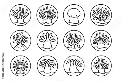 Sea Anemone Icons. Line style icons of sea anemones in round shape: waving anemone, tentacle anemone, closed anemone, clownfish in