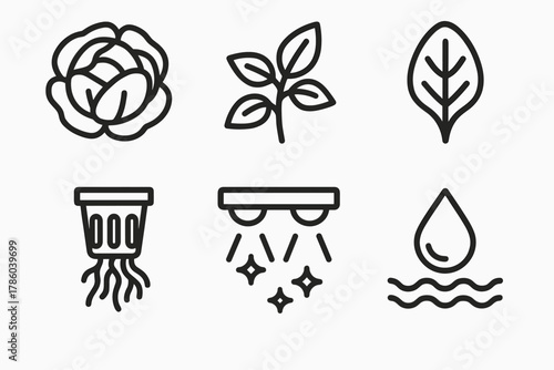 Hydroponic Icons. Line style icons of Hydroponics: hydroponic lettuce head, basil sprig icon, spinach leaf, herb roots in net cup,