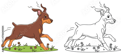Happy Doberman Puppy Running Through Grassy Field with Flowers - Cartoon Vector Illustration for Coloring Book