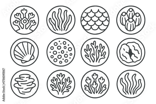 Coral Reef Icons. Line style icons of coral reef detail in round shape: coral polyps, anemone tentacle tip, fish scales, barnacle