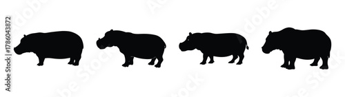 vector silhouette hippo