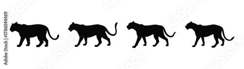 Silhouette of four cats vector art black and white feline domestic animal pet mammal design image