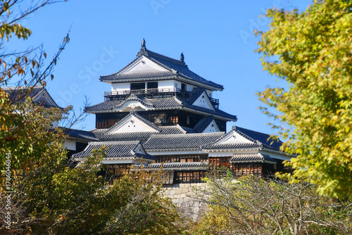 Wallpaper Mural 松山城・天守（愛媛県・松山市） Torontodigital.ca