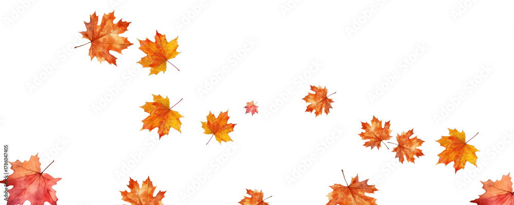 Obraz premium Falling autumn leaf overlay transparent image maple