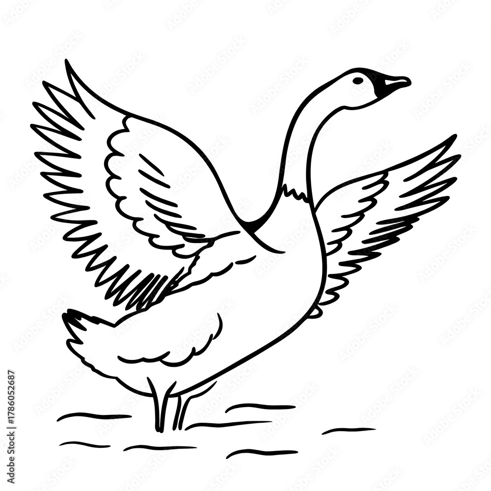 Fototapeta premium dove of peace