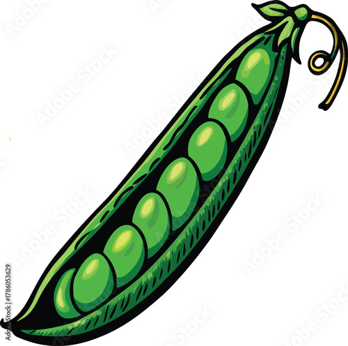 Open Pea Pod With Green Peas vegetable food  green peas shaped fishing lure vector illustration on white background