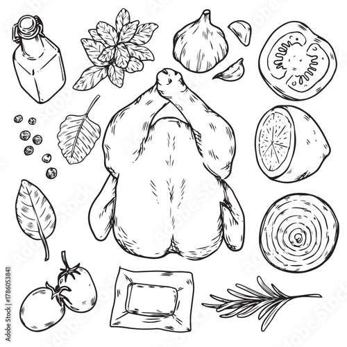 Isolated hand drawn roasted chicken and cooking ingredients outline drawing illustration