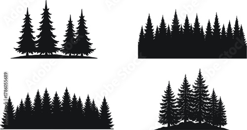 Pine tree forest silhouette vector illustration, evergreen woodland landscape design, nature scenery, conifer tree collection, wilderness background art