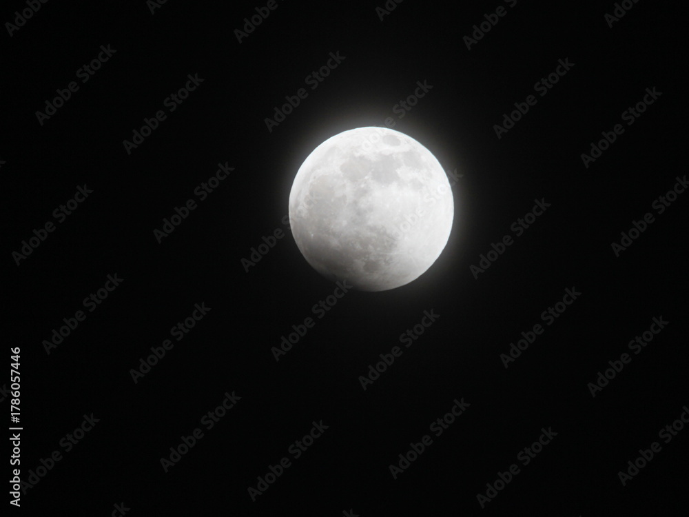 Fototapeta premium Blood Moon Eclipse in 2019