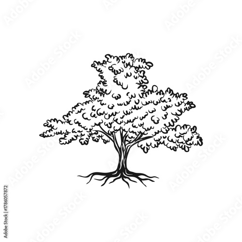 Handdrawn Tree Logo Icon.
A hand-drawn vector of a majestic tree with strong roots and lush foliage, illustrated in bold black sketch lines.