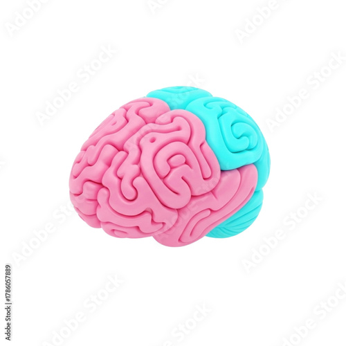Stylized 3D rendering of a human brain model, highlighting different functional areas with distinct colors