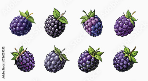 Eight beautiful blackberries in a neat row, a study in delicious dark fruits