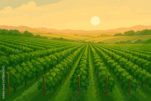 Sunset Over Vineyard. Lush green vineyard stretching into the horizon under a soft golden sunset, serene and picturesque, perfect