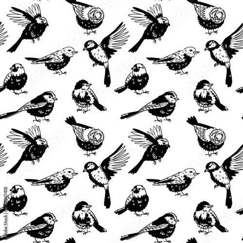 Seamless black and white outline pattern with hand-drawn small wild birds. Various birds flying and standing. Repetitive texture with sparrows and tits for fabric printing and monochrome backgrounds