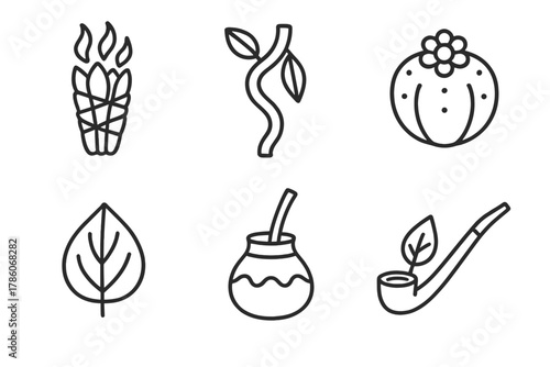 Sacred Plant Icons. Line style icons of sacred and ritual plants: sage bundle, ayahuasca vine, peyote cactus, betel leaf,