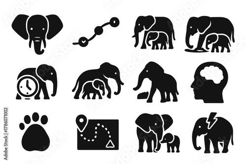 Elephant Memory Icons. Solid style icons of memory in elephants: elephant head, timeline memory path, herd gathering, watering