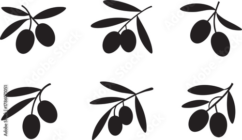 Set of Olive Branch Silhouettes – Black Vector Icons on White Background